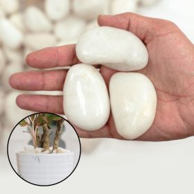 20lbs Black Pebbles for Plants, 2-3 Inch High Polished Natural Large River Rocks for Landscaping (Color: white-20lbs)