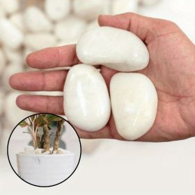 38 lbs White River Rocks, 2-3 inch Polished Pebbles - Versatile for indoor/outdoor use. Ideal for plant decor, vases, aquariums (Color: white-38lbs)